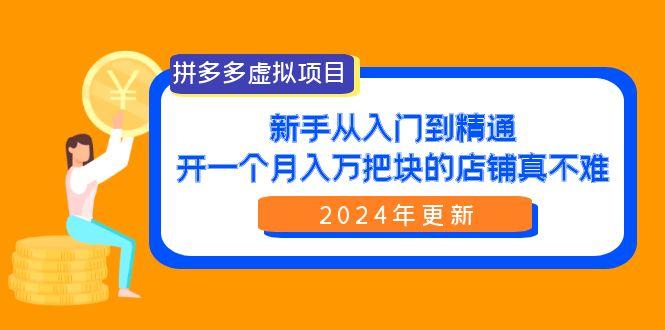 (9744期)拼多多虚拟项目：入门到精通，开一个月入万把块的店铺 真不难(24年更新)-一个公司创业项目 - 淘金吧