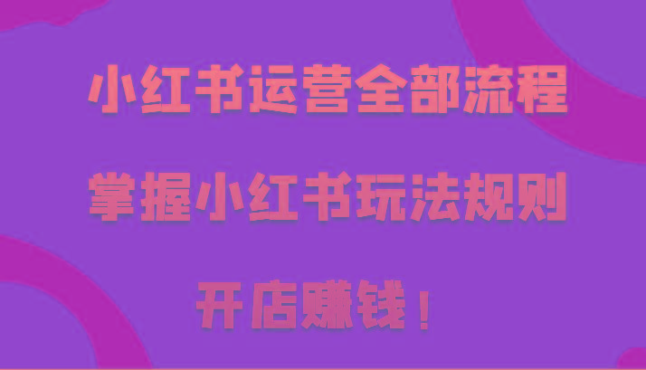 小红书运营全部流程，掌握小红书玩法规则，开店赚钱！-一个公司创业项目 - 淘金吧
