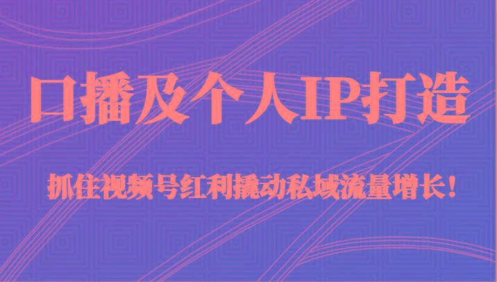 口播及个人IP打造,抓住视频号红利撬动私域流量增长!(45节课)-一人公司创业项目 - 淘金吧