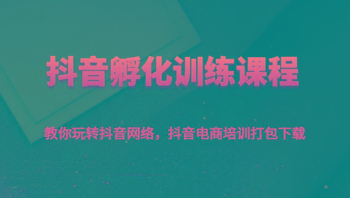 抖音孵化训练课程-教你玩转抖音网络，抖音电商培训打包下载-一人公司创业项目 - 淘金吧