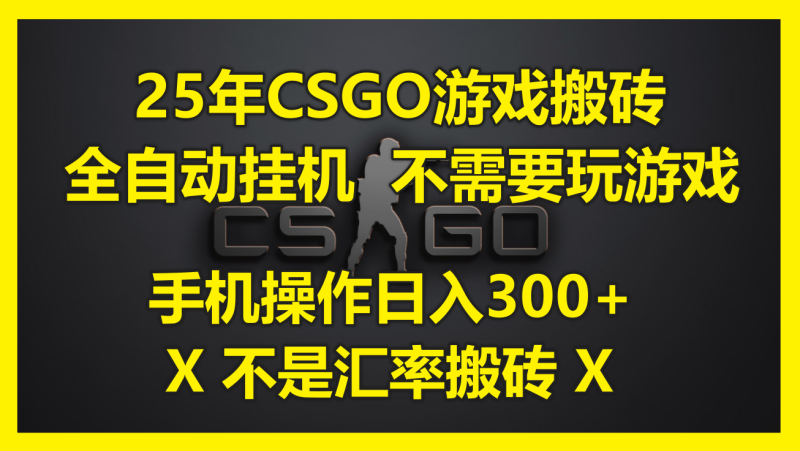 25年CSGO游戏搬砖,全自动挂机,不需要玩游戏,手机操作日入300+。(不…-一个公司创业项目 - 淘金吧