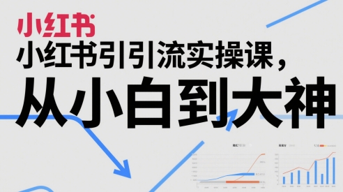小红书引流实操课,从小白到大神-一个公司创业项目 - 淘金吧