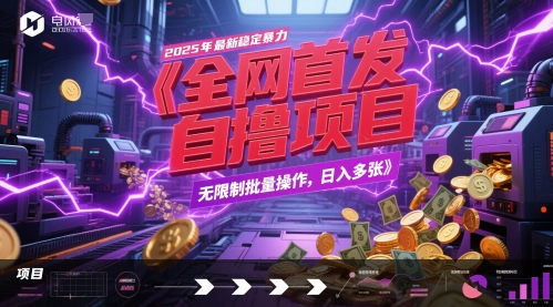 全网首发,2025年最新稳定暴力全自动自撸项目,无限制批量操作,日入多张【揭秘】-一个公司创业项目 - 淘金吧