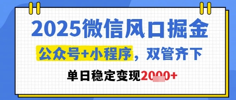 2025微信风口掘金,公众号+小程序双管齐下,单日稳定变现1k+【揭秘】-一个公司创业项目 - 淘金吧