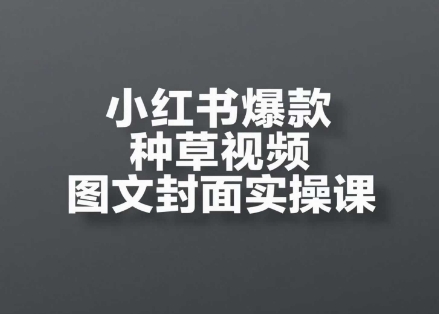 小红书爆款种草视频图文封面实操课,开店、选品、引流、变现全流程-一个公司创业项目 - 淘金吧