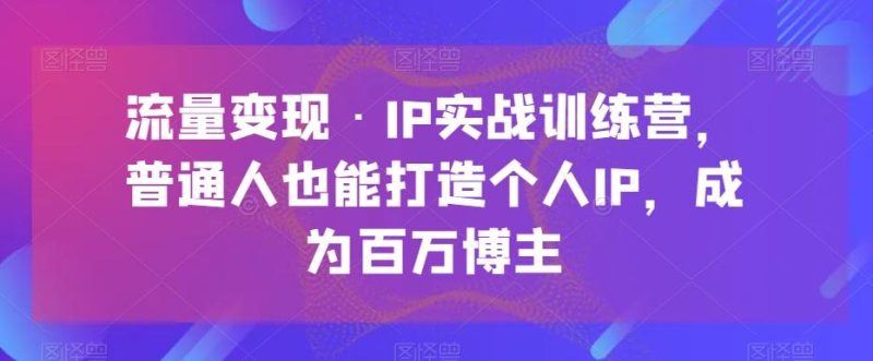 流量变现·IP实战训练营，普通人也能打造个人IP，成为百万博主-一个公司创业项目 - 淘金吧