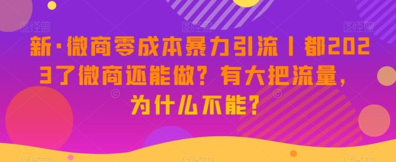 新·微商零成本暴力引流丨都2023了微商还能做?有大把流量,为什么不能?-一个公司创业项目 - 淘金吧