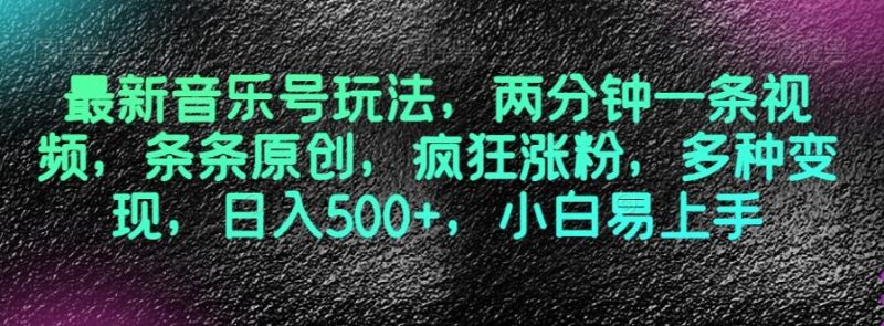 最新音乐号玩法,两分钟一条视频,条条原创,疯狂涨粉,多种变现,日入500+,小白易上手【揭秘】-一个公司创业项目 - 淘金吧