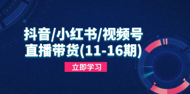 抖音/小红书/视频号/直播带货(11-16期-一个公司创业项目 - 淘金吧