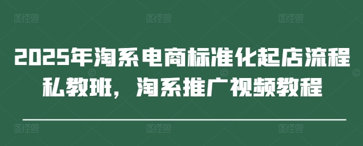 2025年淘系电商标准化起店流程私教班,淘系推广视频教程-一个公司创业项目 - 淘金吧