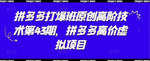 拼多多打爆班原创高阶技术第43期,拼多多高价虚拟项目-一个公司创业项目 - 淘金吧