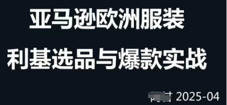 跨境电商选品案例24-25年,聚焦跨境电商选品策略与运营优化,助力卖家挖掘蓝海市场-一个公司创业项目 - 淘金吧