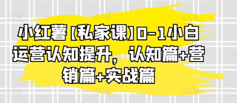 小红薯【私家课】0-1小白运营认知提升,认知篇+营销篇+实战篇-一个公司创业项目 - 淘金吧