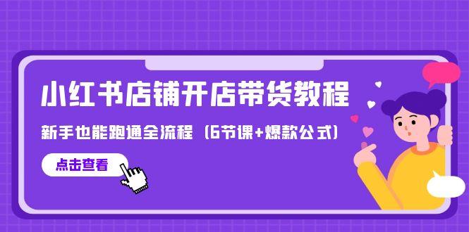 (9883期)最新小红书店铺开店带货教程,新手也能跑通全流程(6节课+爆款公式)-一个公司创业项目 - 淘金吧