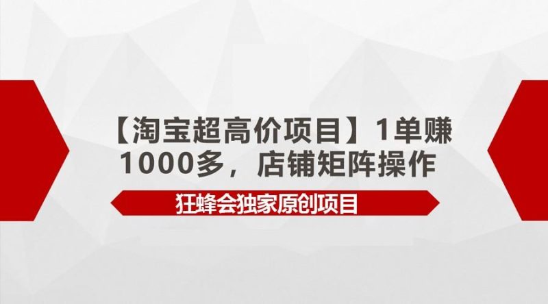 【淘宝超高价项目】1单赚1000多,店铺矩阵操作-一个公司创业项目 - 淘金吧