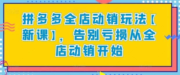 拼多多全店动销玩法【新课】,告别亏损从全店动销开始
