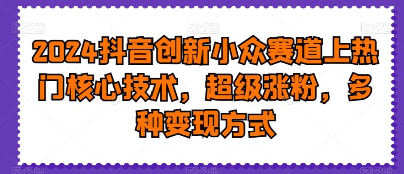 2024抖音创新小众赛道上热门核心技术,超级涨粉,多种变现方式【揭秘】-一个公司创业项目 - 淘金吧