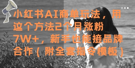 小红书AI商单玩法,用这个方法2个月涨粉7W+,新手也能接品牌合作(附全套指令模板)-一个公司创业项目 - 淘金吧