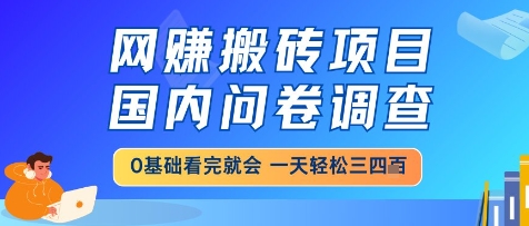 网创搬砖项目,国内问卷调查,小白轻松上手,一天三四张的也不难,干就完了【揭秘】-一个公司创业项目 - 淘金吧