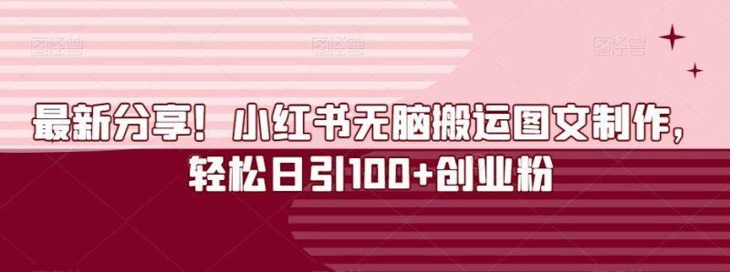 最新分享!小红书无脑搬运图文制作,轻松日引100+创业粉-一个公司创业项目 - 淘金吧