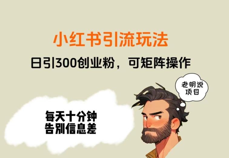 靠小红书视频日印300粉，两分钟一个视频轻松矩阵-一个公司创业项目 - 淘金吧