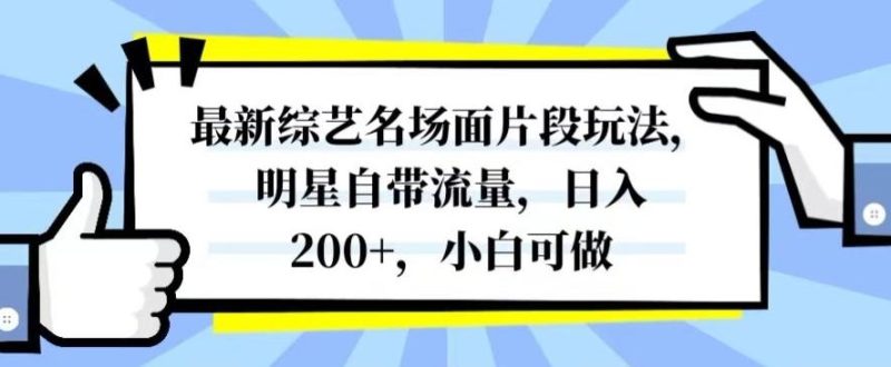 最新综艺名场面片段玩法，明星自带流量，日入200+，小白可做【揭秘】-一个公司创业项目 - 淘金吧