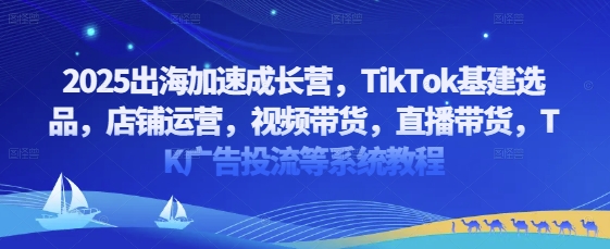 2025出海加速成长营,TikTok基建选品,店铺运营,视频带货,直播带货,TK广告投流等系统教程-一个公司创业项目 - 淘金吧