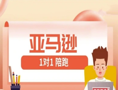 亚马逊1对1陪跑课(FBA/FBM精铺)跨境亚马逊教程-一个公司创业项目 - 淘金吧