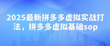 2025最新拼多多虚拟实战打法,拼多多虚拟基础sop-一个公司创业项目 - 淘金吧