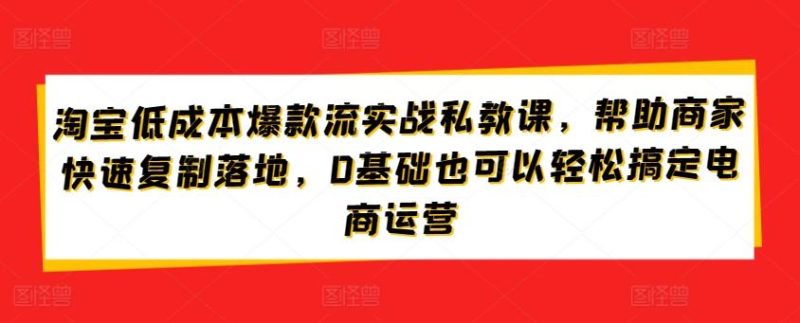 淘宝低成本爆款流实战私教课,帮助商家快速复制落地,0基础也可以轻松搞定电商运营-一个公司创业项目 - 淘金吧