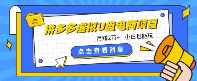 拼多多虚拟U盘电商红利项目：月赚2万+，新手小白也能玩-一个公司创业项目 - 淘金吧