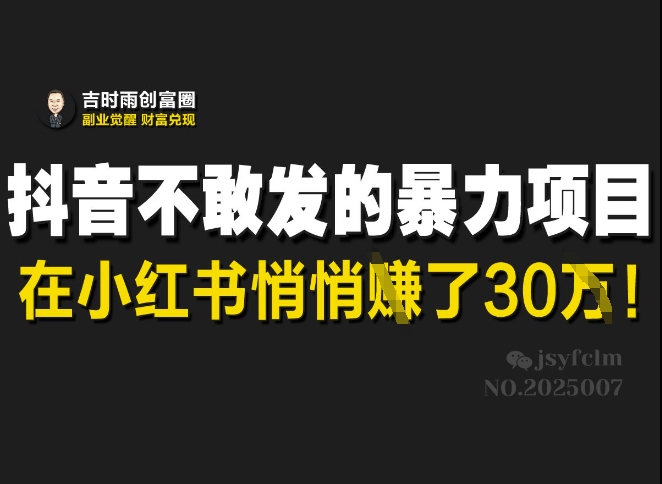 抖音不敢发的暴利项目,在小红书悄悄挣了30W-一个公司创业项目 - 淘金吧