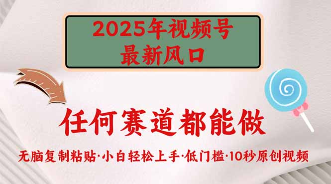 2025年视频号新风口，低门槛只需要无脑执行-一个公司创业项目 - 淘金吧