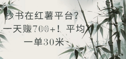 抄书在小红薯平台？平均一单30米，一天收益几张！-一个公司创业项目 - 淘金吧