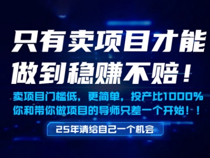 只有卖项目才能做到稳挣不赔,门槛低,更简单,你也可以年入百个W【揭秘】-一个公司创业项目 - 淘金吧