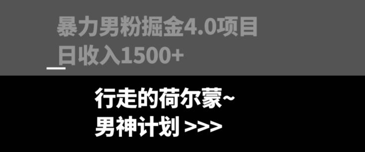 暴力男粉掘金4.0项目不违规不封号无脑复制单人操作日入1000+-一个公司创业项目 - 淘金吧