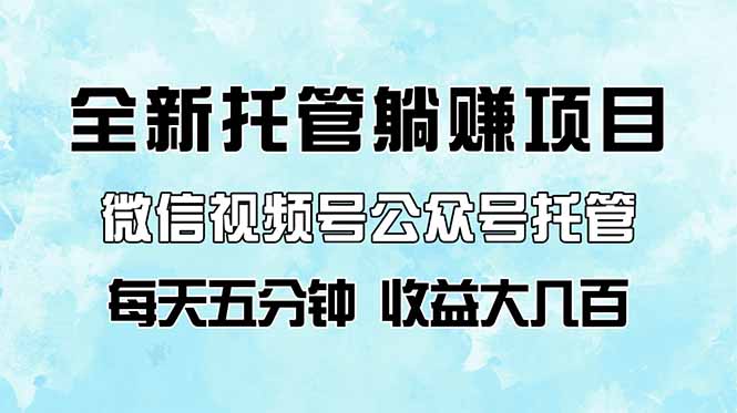 全新托管躺赚项目,微信视频号公众号托管代运营,每天五分钟,收益大几百-一个公司创业项目 - 淘金吧