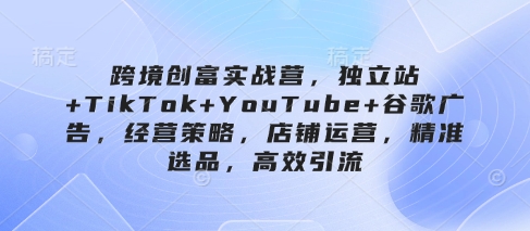 跨境创富实战营,独立站+TikTok+YouTube+谷歌广告,经营策略,店铺运营,精准选品,高效引流-一个公司创业项目 - 淘金吧
