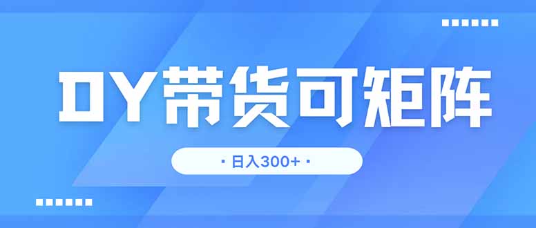 DY带货，日入300＋矩阵无上限-一个公司创业项目 - 淘金吧