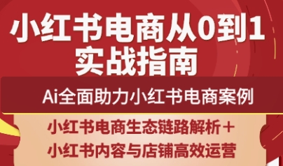 天诺老吴·2025小红书电商全链路运营-一个公司创业项目 - 淘金吧