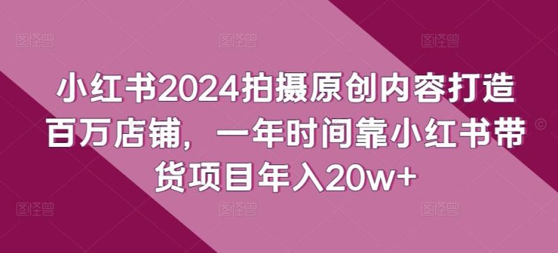 小红书2024拍摄原创内容打造百万店铺,一年时间靠小红书带货项目年入20w+-一个公司创业项目 - 淘金吧