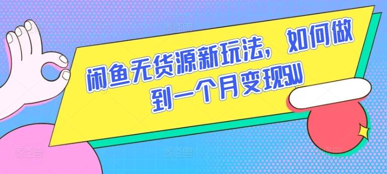 闲鱼无货源新玩法，如何做到一个月变现5W【揭秘】-一个公司创业项目 - 淘金吧