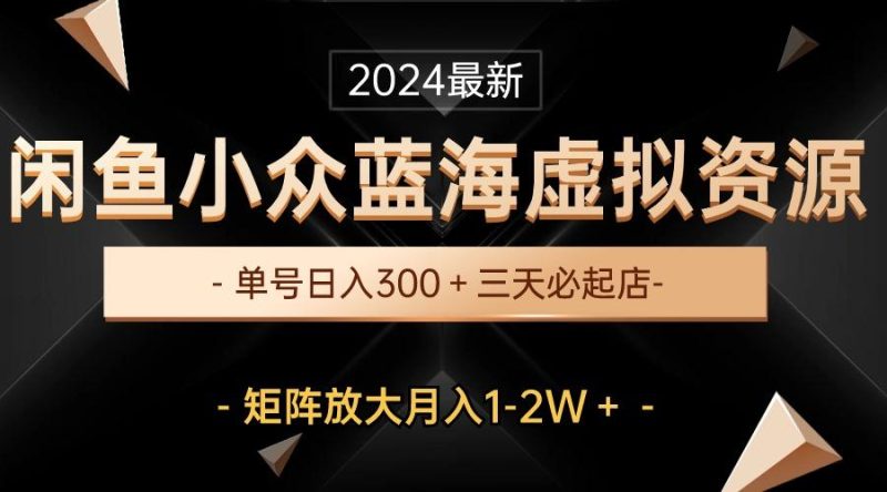 最新闲鱼小众蓝海虚拟资源，单号日入300＋，三天必起店，矩阵放大月入1-2W-一个公司创业项目 - 淘金吧