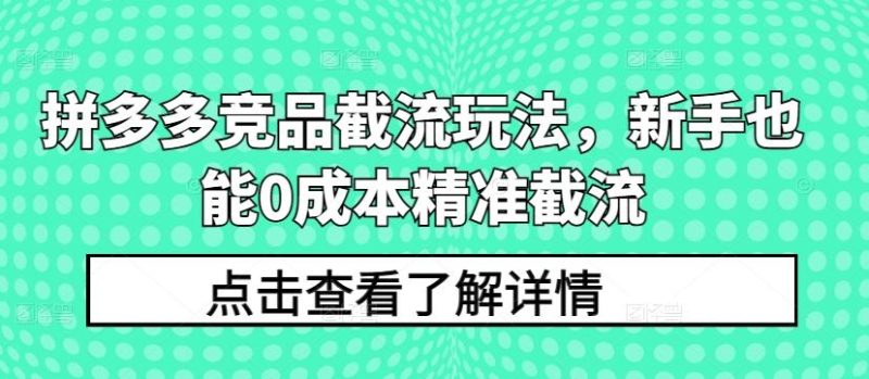 拼多多竞品截流玩法,新手也能0成本精准截流-一个公司创业项目 - 淘金吧