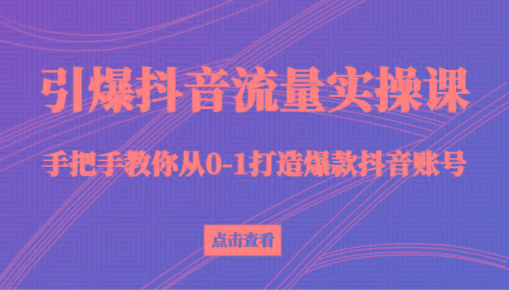引爆抖音流量实操课，手把手教你从0-1打造爆款抖音账号(27节课)-一个公司创业项目 - 淘金吧