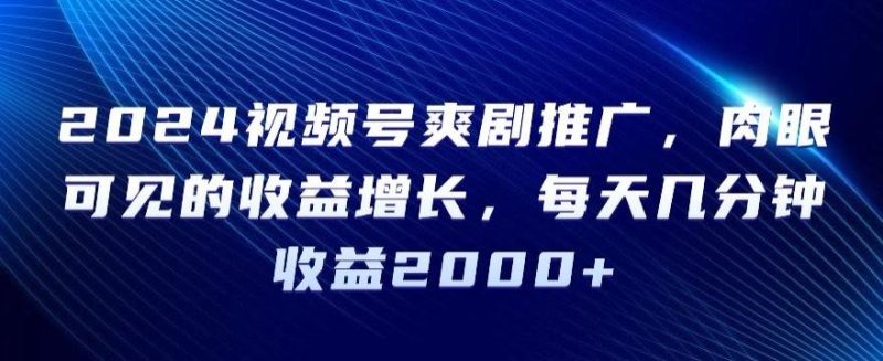 2024视频号爽剧推广,肉眼可见的收益增长,每天几分钟收益2000+【揭秘】-一个公司创业项目 - 淘金吧