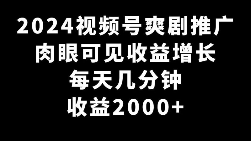 2024视频号爽剧推广，肉眼可见的收益增长，每天几分钟收益2000+-一个公司创业项目 - 淘金吧