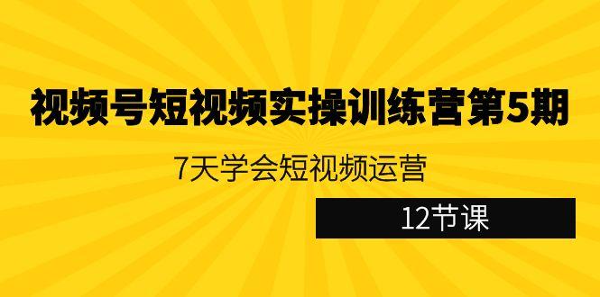视频号短视频实操训练营第5期：7天学会短视频运营(12节课)-一个公司创业项目 - 淘金吧