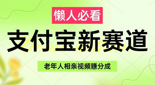 支付宝新赛道,利用老年人相亲视频,挣分成收益,轻松月入过W,操作简单-一个公司创业项目 - 淘金吧