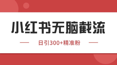 小红书只要你有同行就能获客,独家野路子获客玩法,暴力截流【揭秘】-一个公司创业项目 - 淘金吧
